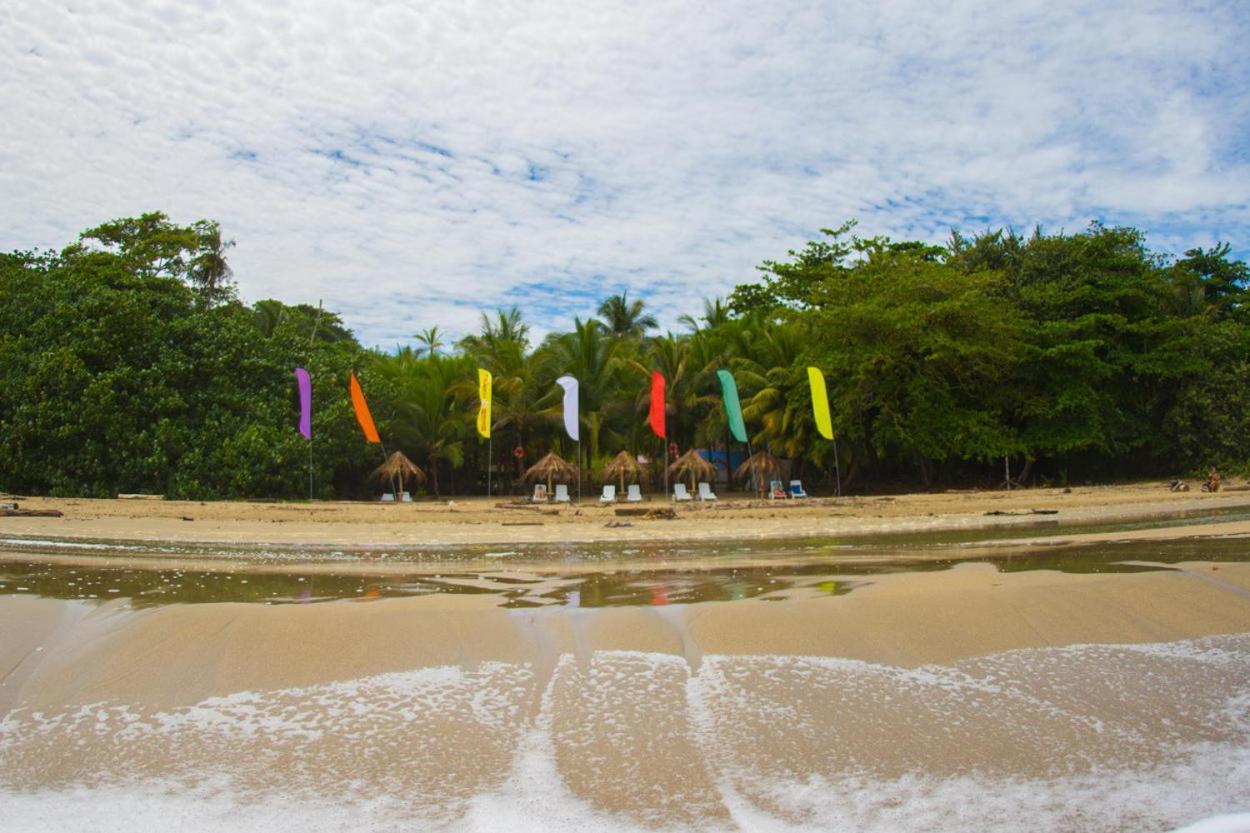 Playa 506 Beachfront Hostel Puerto Viejo de Talamanca المظهر الخارجي الصورة