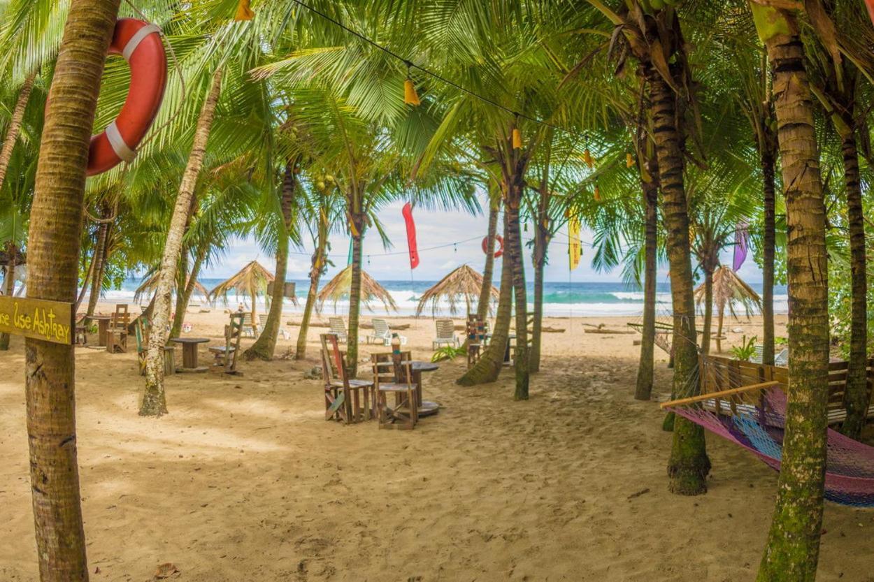 Playa 506 Beachfront Hostel Puerto Viejo de Talamanca المظهر الخارجي الصورة