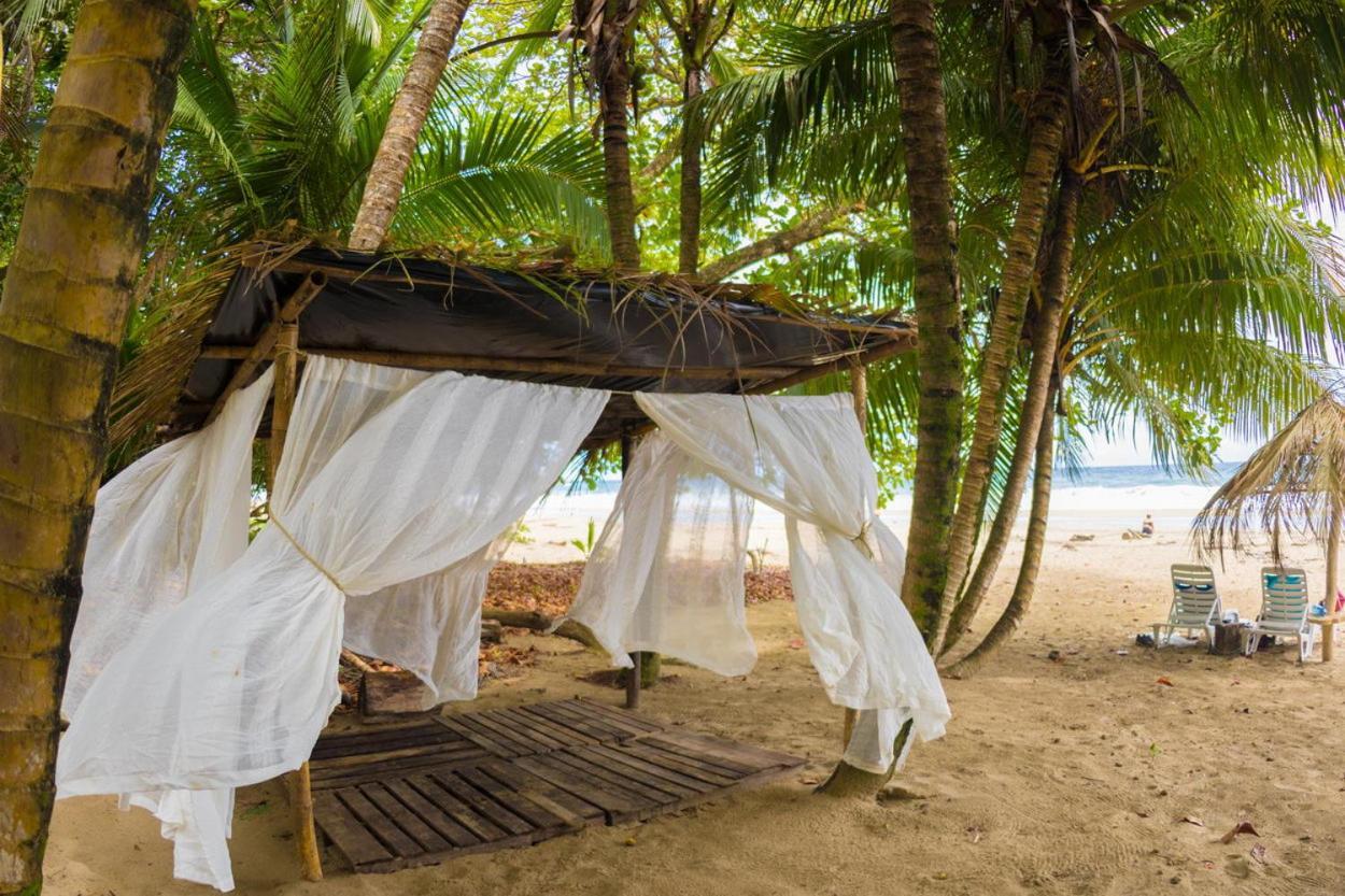 Playa 506 Beachfront Hostel Puerto Viejo de Talamanca المظهر الخارجي الصورة