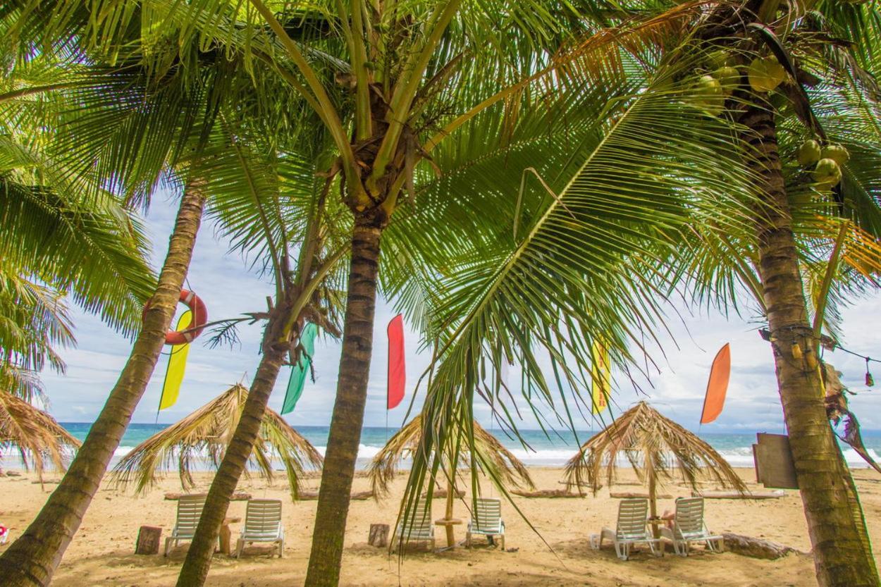 Playa 506 Beachfront Hostel Puerto Viejo de Talamanca المظهر الخارجي الصورة