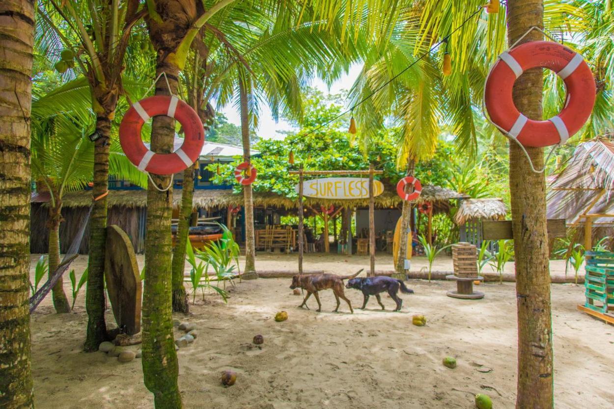 Playa 506 Beachfront Hostel Puerto Viejo de Talamanca المظهر الخارجي الصورة