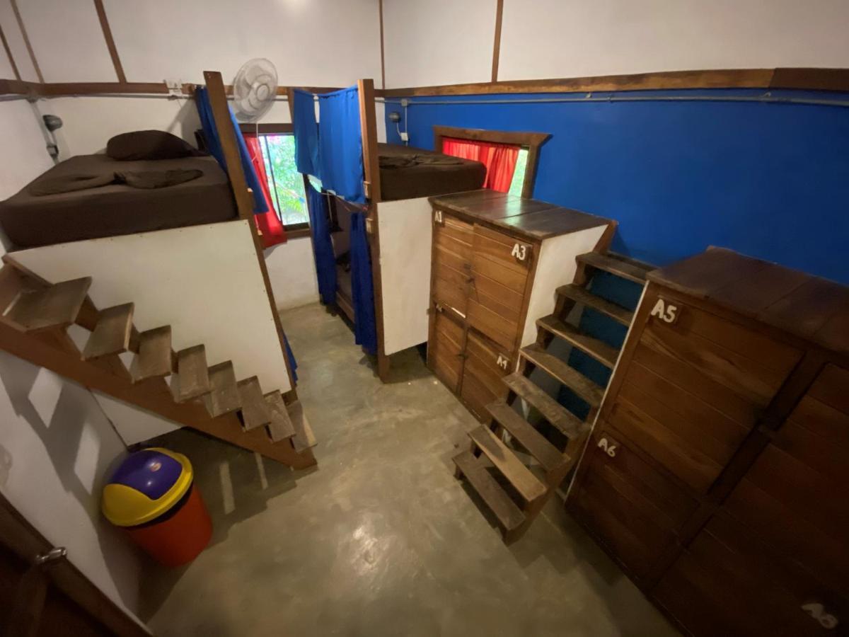 Playa 506 Beachfront Hostel Puerto Viejo de Talamanca الغرفة الصورة