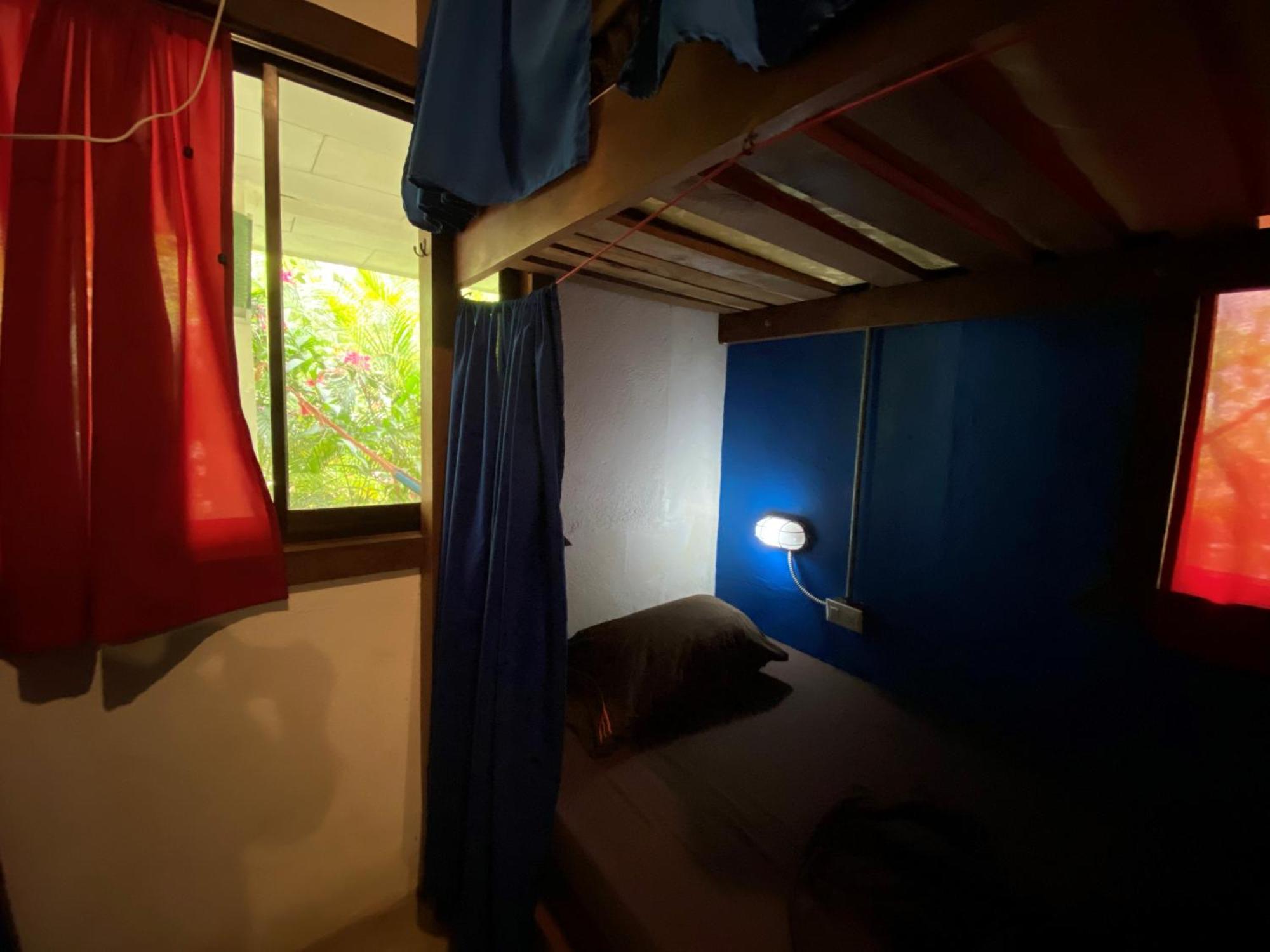 Playa 506 Beachfront Hostel Puerto Viejo de Talamanca الغرفة الصورة