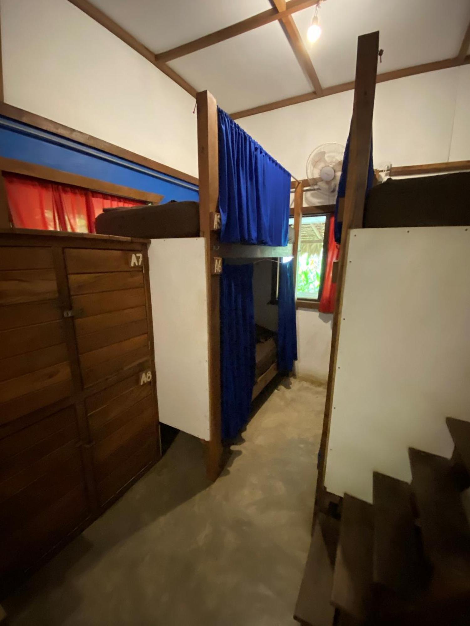 Playa 506 Beachfront Hostel Puerto Viejo de Talamanca الغرفة الصورة
