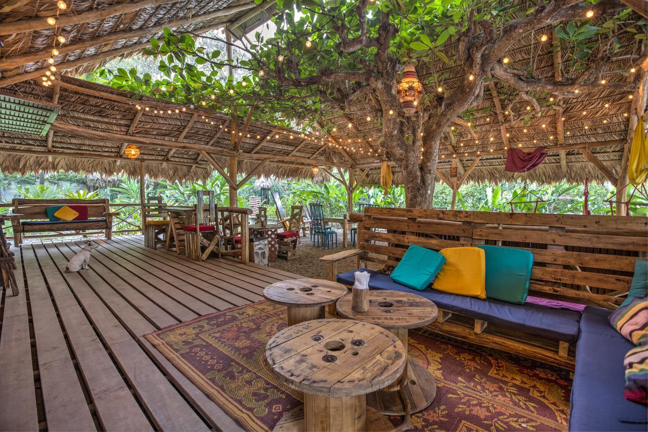 Playa 506 Beachfront Hostel Puerto Viejo de Talamanca المظهر الخارجي الصورة