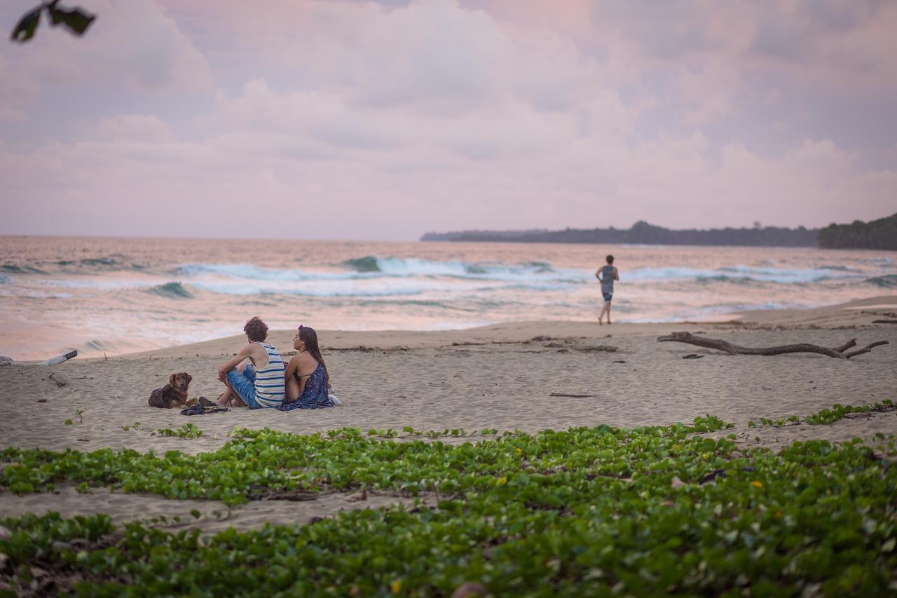 Playa 506 Beachfront Hostel Puerto Viejo de Talamanca المظهر الخارجي الصورة