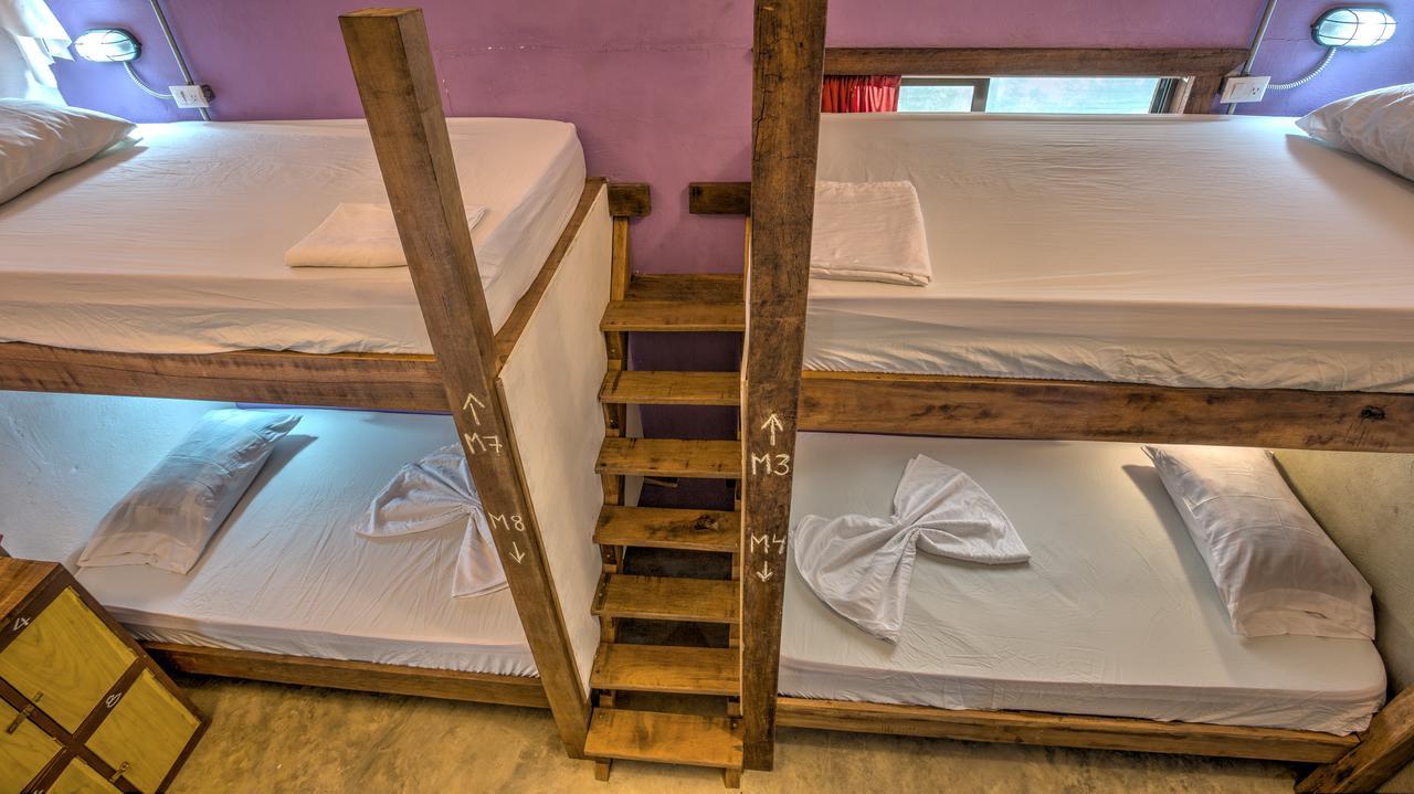 Playa 506 Beachfront Hostel Puerto Viejo de Talamanca المظهر الخارجي الصورة