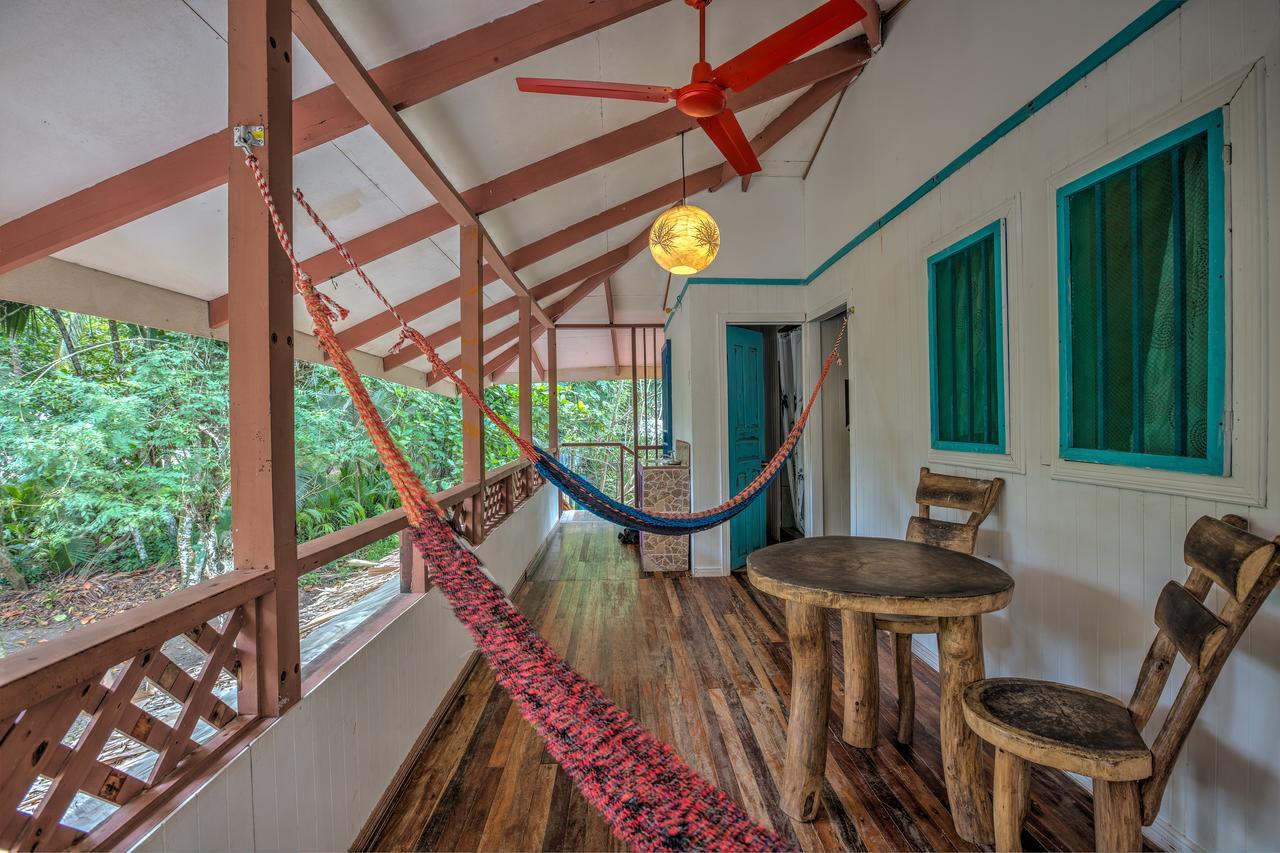 Playa 506 Beachfront Hostel Puerto Viejo de Talamanca المظهر الخارجي الصورة