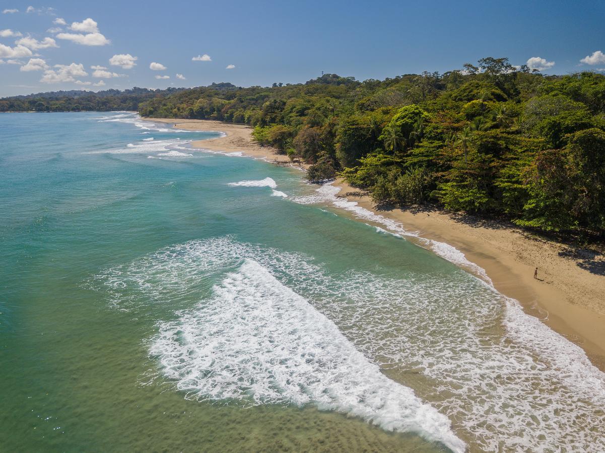 Playa 506 Beachfront Hostel Puerto Viejo de Talamanca المظهر الخارجي الصورة