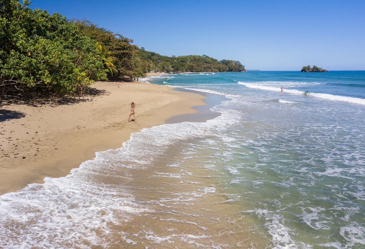 Playa 506 Beachfront Hostel Puerto Viejo de Talamanca المظهر الخارجي الصورة